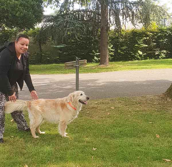 STARKY  CHIENNE GOLDEN RETRIEVER 0 ADOPTER AU REFUGE SOS ANIMAUX 78 AU CHESNAY PRES DE VERSAILLES